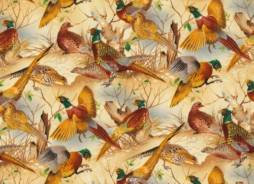 Golden Pheasants Birds